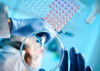 Política sanitaria: aprueban reglamento de la nueva Comisión Nacional de Bioética