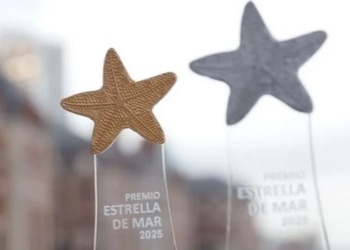 Premios Estrella de Mar: nominados y categorías