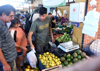Ofertas en verdura, carne y gas impulsan la actividad en el Mercado Concentrador