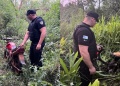 Campo Viera: robó dos motos, las escondió entre malezas y fue detenido