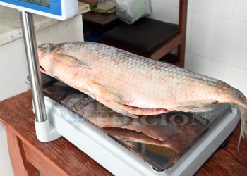 Comerciantes de pescaderías estiman subas del 5%