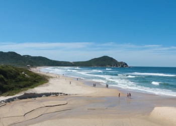 Cayó la presencia de argentinos en Santa Catarina al inicio de la temporada 2026