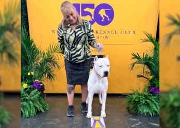 “Toky”, el Dogo Argentino que hizo historia