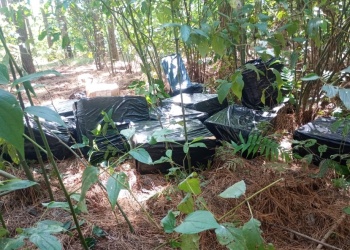 Puerto Rico: incautaron 7.000 atados de cigarrillos ilegales valuados en más de $15 millones