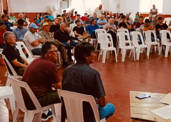 Productores yerbateros decretaron el cese total de cosecha ante la falta de precios