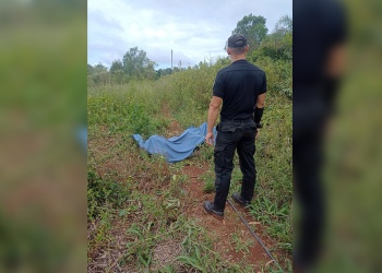 San Vicente: un hombre falleció electrocutado mientras cortaba madera