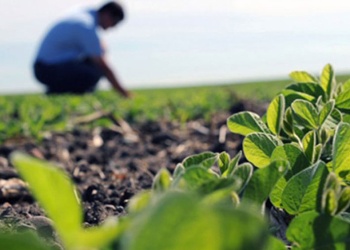 El Colegio de Ingenieros Agrónomos de Misiones rechaza la desregulación profesional