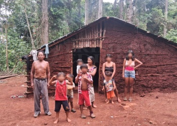 Comunidad guaraní resiste ante el avance de una empresa forestal en Puerto Libertad