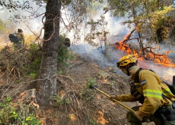 De Misiones al frente del fuego: “Este es el peor mes para los incendios en la Patagonia”