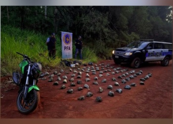 Intentó huir en moto y abandonó más de 71 kilos de marihuana en Candelaria