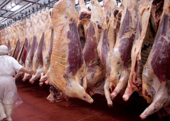 Acuerdo con EEUU: advierten que Argentina no está preparada para sostener exportaciones sin impacto interno