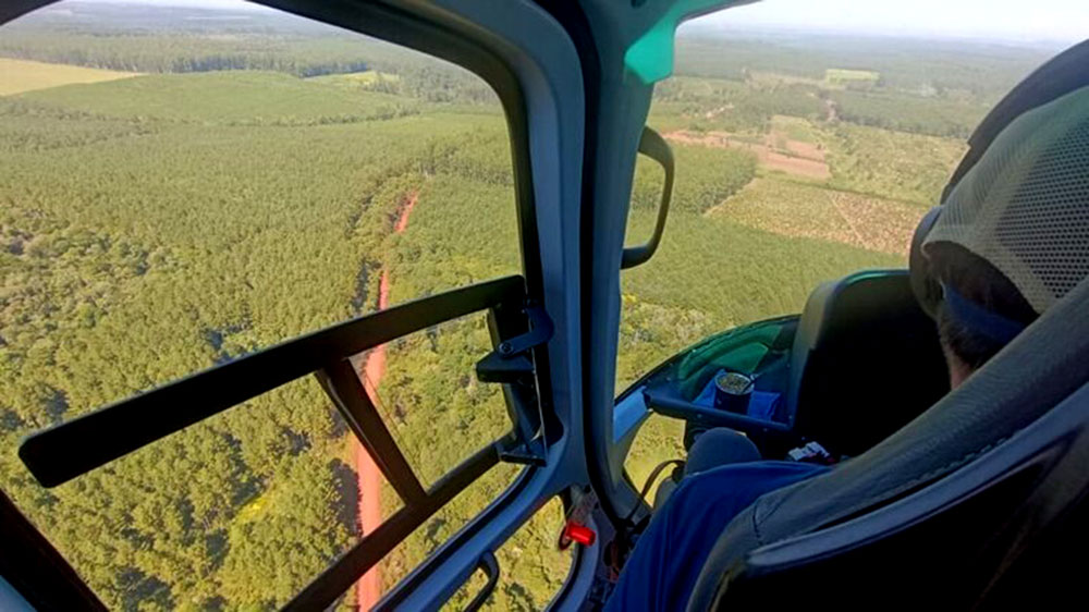 En Misiones el déficit hídrico es extremo y el riesgo de incendios máximo