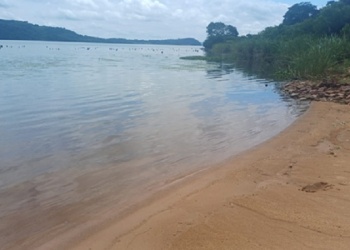 Ecosanación: enfoque y concentración