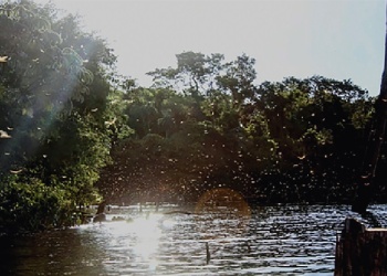 Sentido de Coherencia: cuando ser uno mismo significa estar bien