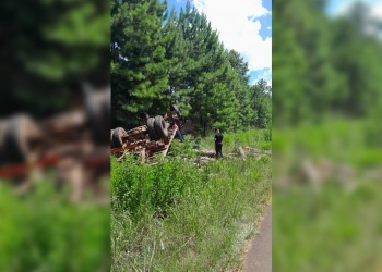 Despiste y vuelco de un camión sobre la Ruta 14 dejó un conductor herido