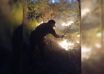 Incendio de malezas se propagó desde Santo Pipó hacia Gobernador Roca y Corpus