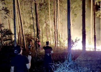 A pesar del contexto de alto riesgo, se siguen registrando incendios de malezas en Misiones