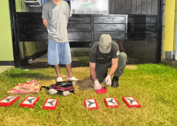 Golpe al narcotráfico en Misiones: 14 allanamientos, siete detenidos y casi 30 kilos de cocaína secuestrados