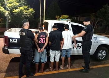Pelea vecinal en Apóstoles: tres detenidos y un joven lesionado