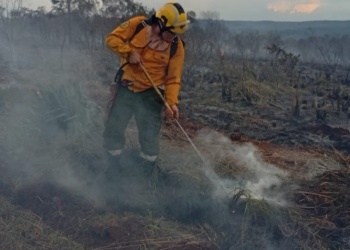 La baja humedad, los vientos y el intenso calor mantienen el alerta máxima de incendios