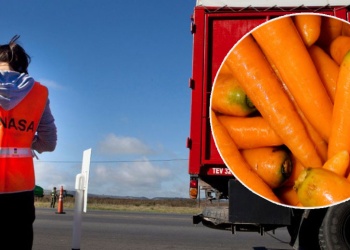 Para comercializar hortalizas, productores estarán obligados a presentar documento electrónico