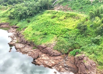 La autopsia confirmó que a Suzuki un proyectil le atravesó el pecho