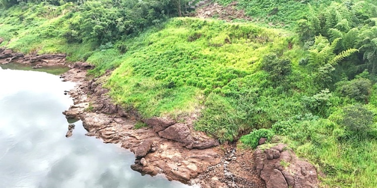 COSTA DEL PARANÁ. El predio de cabañas propiedad del empresario argentino José Suzuki está rodeado por monte y la orilla del río.