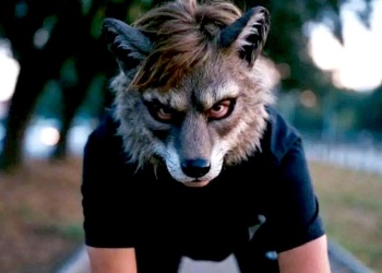 Veterinario misionero sobre el fenómeno therian: “El límite es la convivencia”