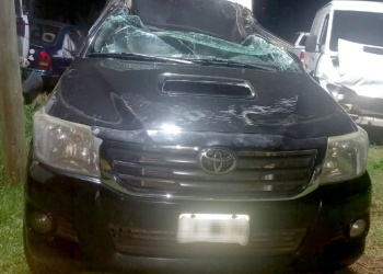 Volcó, huyó y terminó detenido por conducir ebrio