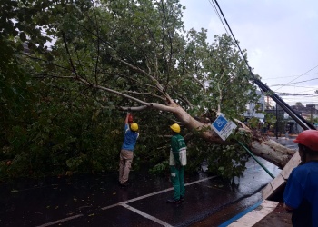 Tras el temporal, el municipio desplegó operativos para despejar calles y asistir a vecinos en Posadas
