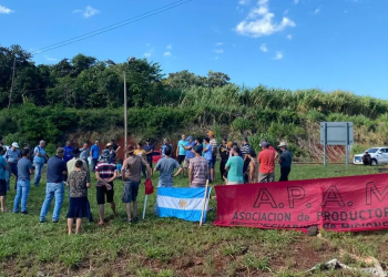 En Campo Grande, cosechadores de yerba evaluarán medidas de fuerza por el bajo precio