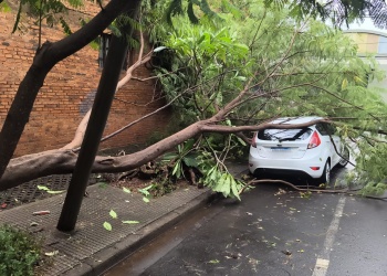 Tras el temporal en Posadas, Defensa Civil asistió a vecinos y trabajan para restablecer servicios
