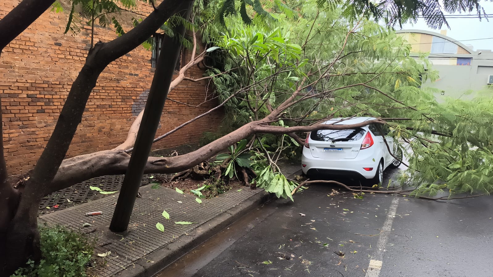 Tras el temporal en Posadas, Defensa Civil asistió a vecinos y trabajan para restablecer servicios
