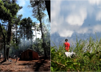“La concentración de tierras bajo propiedad transnacional plantea un interrogante sobre el futuro de los misioneros”