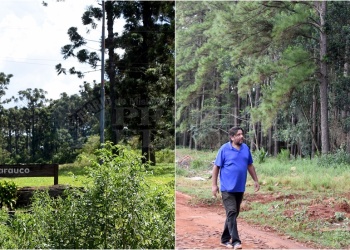“Libertad es un corral de pinos, un pueblo chiquito, ahogado, asfixiado por Arauco”