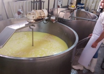 Cooperativas lácteas misioneras aplicaron aumentos del 7% en marzo