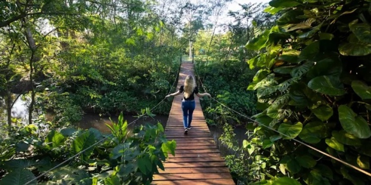 COMUNIDAD VS. NATURALEZA. La escuela será un espacio que busca formar a niños, jóvenes y adultos comprometidos, con herramientas y mirada crítica. /Gentileza Municipalidad de Montecarlo