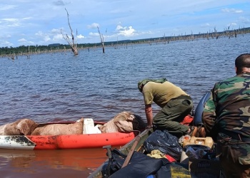 Selva misionera: desarman refugios ocultos para caza y pesca furtiva en zona del lago Urugua-í