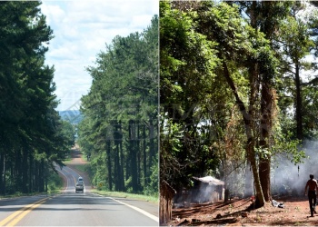 “Esta es la tierra de nuestros ancestros y acá nos vamos a quedar”.