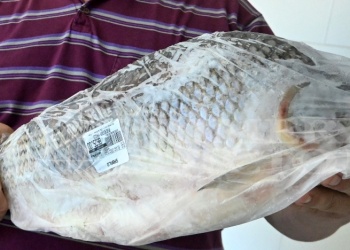 Semana Santa: cómo elegir pescado fresco y evitar riesgos alimentarios