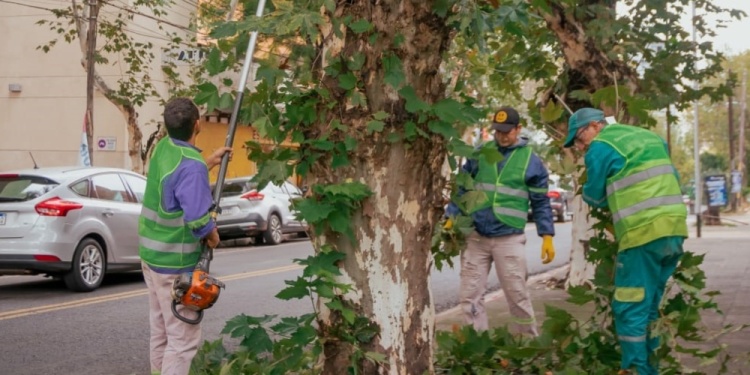 PRIMERA ETAPA. A mitad de mes se abrió el registro de pedidos y desde ahora comenzaron las capacitaciones del personal.