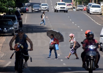 Las “licencias de conducir fáciles” y un peligro real