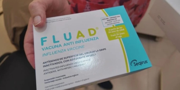 TRIVALENTE. Este año, la vacuna antigripal protege un virus A(H1N1), un virus A(H3N2) y un virus del linaje B/Victoria. / Foto: Desde Monte Buey