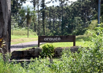 “El acaparamiento no  es solo de tierra, es del agua, del sol y el monte”