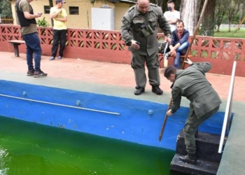 Elevaron a juicio a nueve militares por ordenar el “bautismo” que dejó parapléjico a Verón