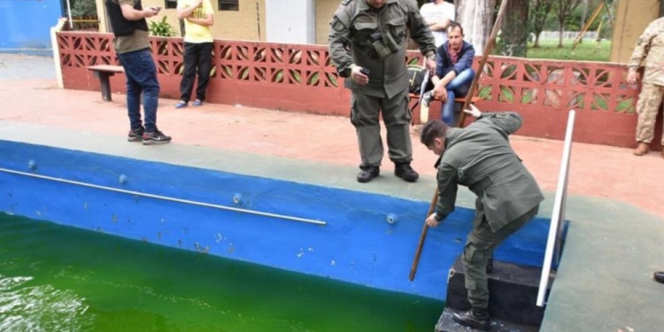 AGUA PODRIDA. A Verón lo obligaron a embriagarse y a tirarse tres veces en esta pileta, hasta que se golpeó la cabeza.