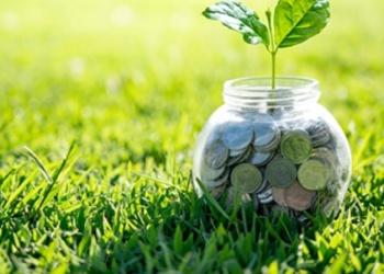 Los colores del dinero y la abundancia