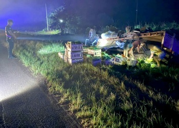 Madrugada de despistes en Misiones: dos camiones volcaron en las rutas 12 y 215