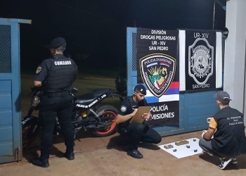 Hallaron marihuana por más de $3 millones oculta entre malezas en San Pedro