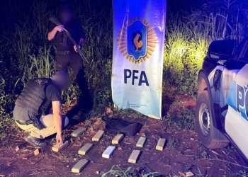 Secuestran más de ocho kilos de marihuana en Puerto Iguazú